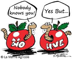 What is HVE Certification