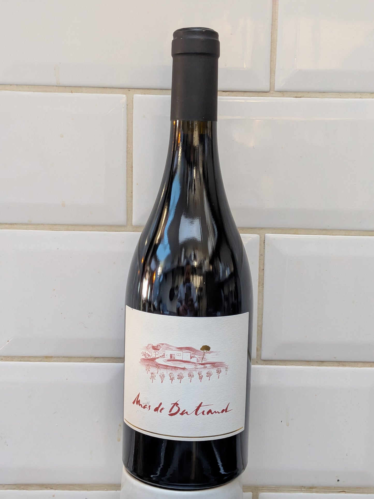 Domaine de Malavieille - Mas de Bertrand - 2016 - Saint Saturnin - Languedoc