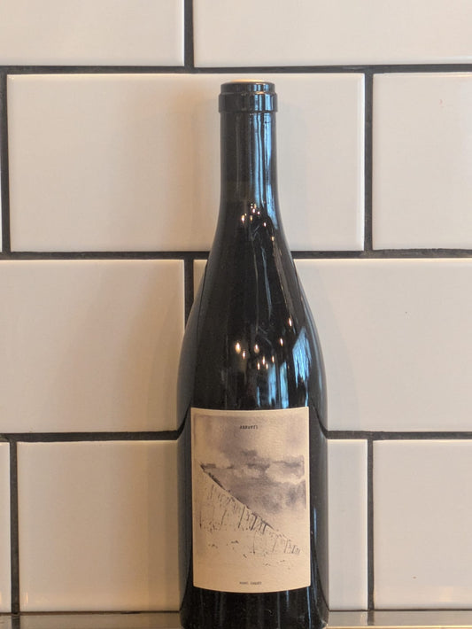 Henri Chauvet - Abrupts - Gamay - Auvergne